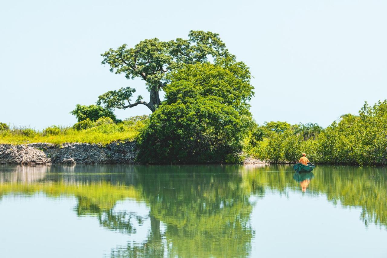 Tamba Kuruba Eco-Lodge Folonko Kültér fotó