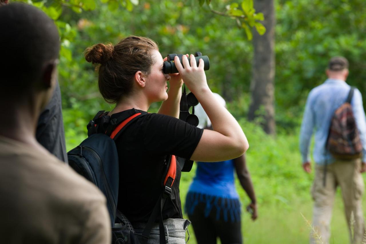 Tamba Kuruba Eco-Lodge Folonko Kültér fotó