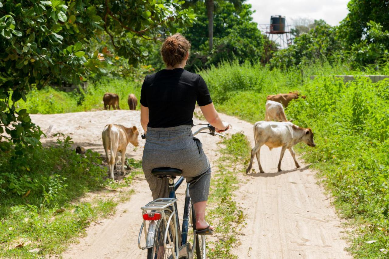 Tamba Kuruba Eco-Lodge Folonko Kültér fotó