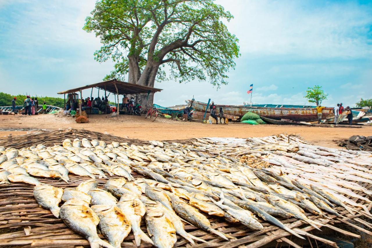 Tamba Kuruba Eco-Lodge Folonko Kültér fotó